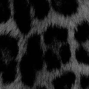 Meet your Posher, Kat